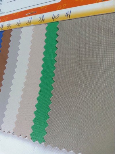 FS-CGFA 0093# 細節-1